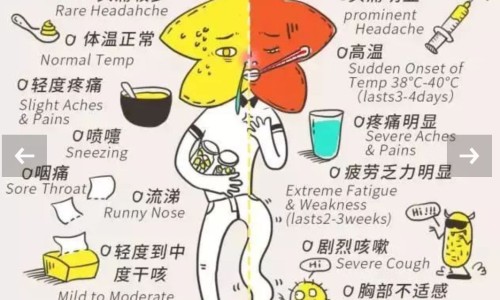 意木草-意母草的吃法网 :分享意母草的用处-益母草薏米煮水喝多久见效知识